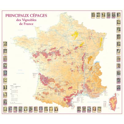 Principaux cépages des Vignobles de France 